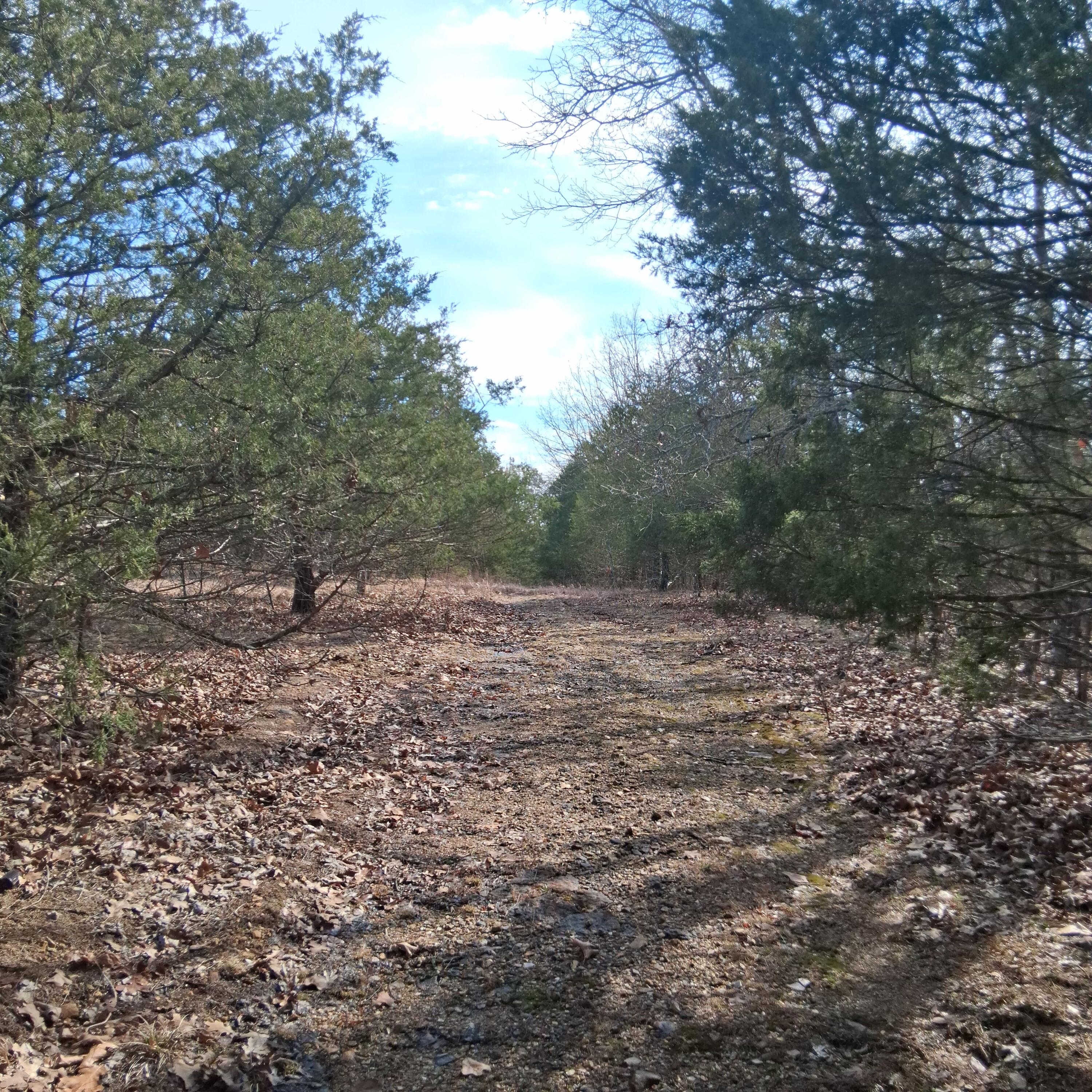 0 Greers Ferry Road Branson, MO 65616 - Photo 27 of 32 20260306_095851