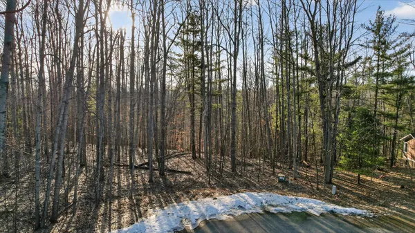 $62,000 | Vl Highland Court, Alger, MI 48610