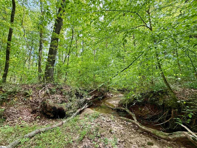 $29,693 | 128 Sweetbriar Trail, Westminster, SC 29693