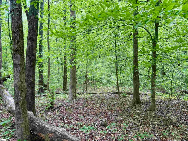 $29,693 | 128 Sweetbriar Trail, Westminster, SC 29693