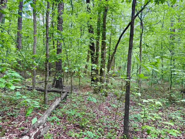 $29,693 | 128 Sweetbriar Trail, Westminster, SC 29693