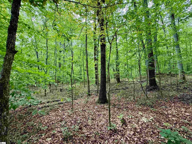 $29,693 | 128 Sweetbriar Trail, Westminster, SC 29693