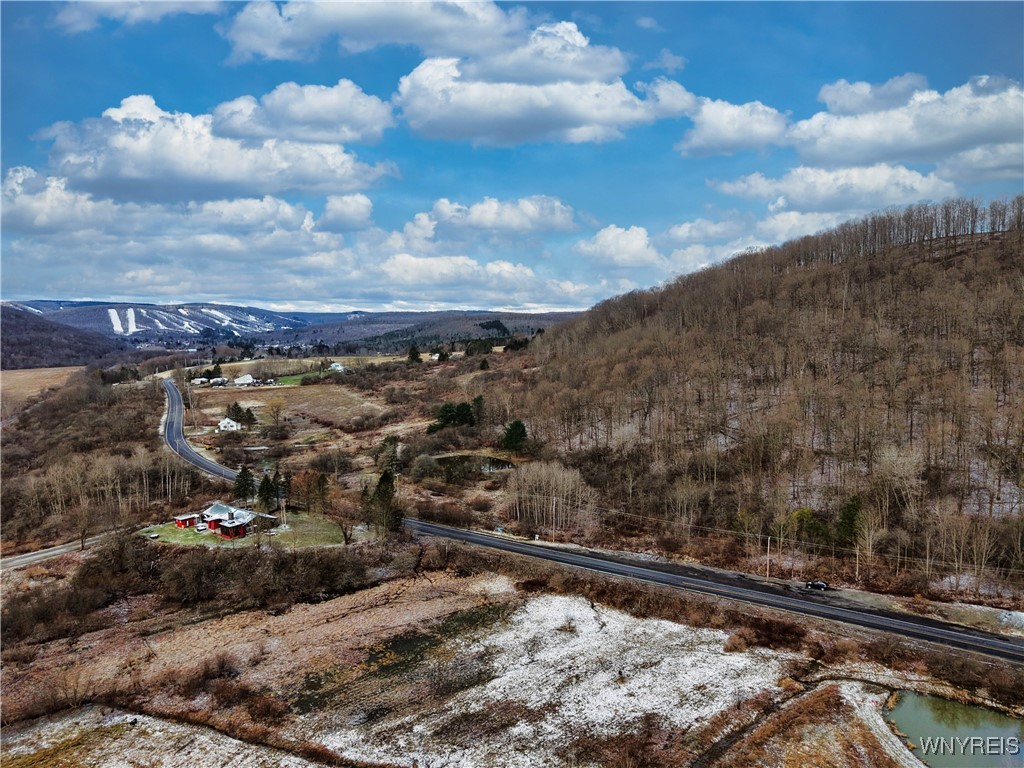 6000 Nys Route Ellicottville, NY 14731 - Photo 5 of 10
