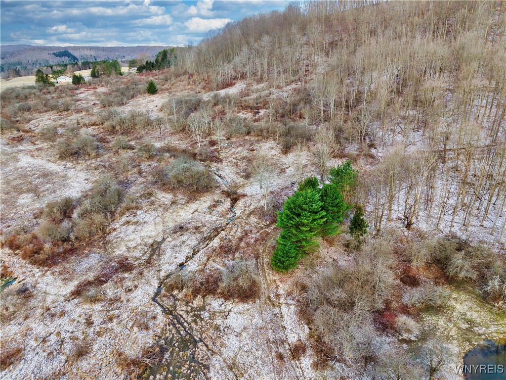 6000 Nys Route Ellicottville, NY 14731 - Photo 9 of 10