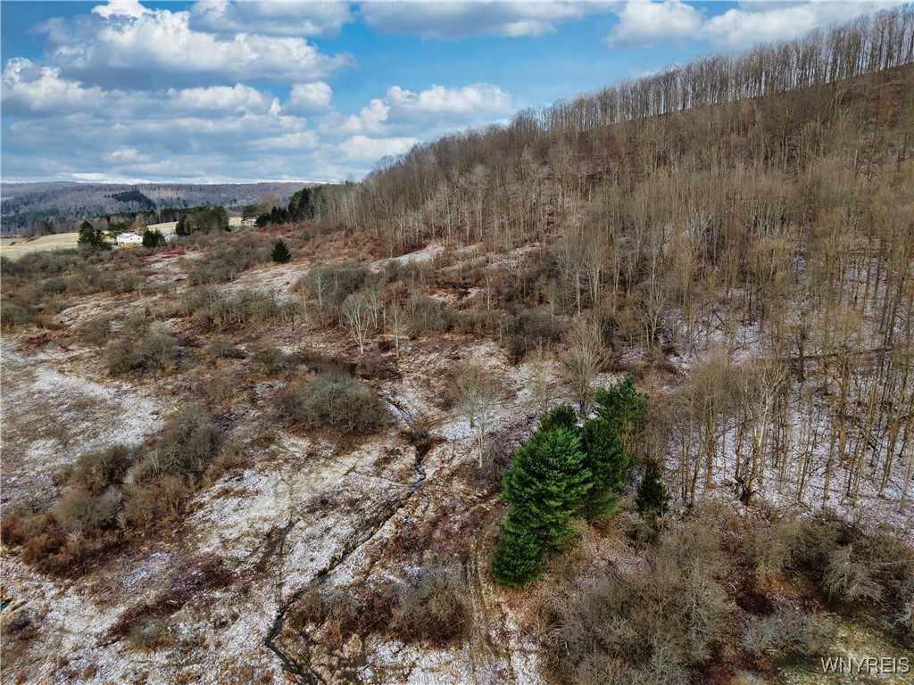 6000 Nys Route Ellicottville, NY 14731 - Photo 10 of 10