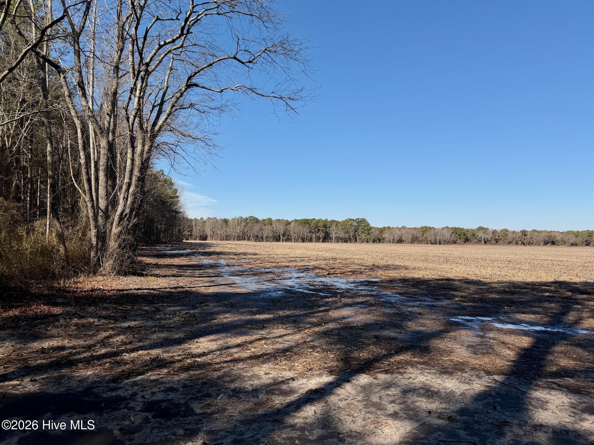 0 Sandy Ridge Road Tyner, NC 27980 - Photo 30 of 43 Chowan Smith - 19