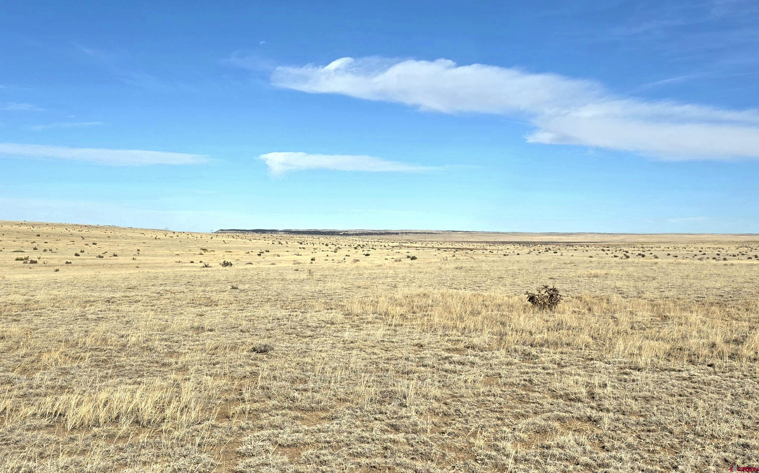 103 County Road 103 Rye, CO 81069 - Photo 3 of 9