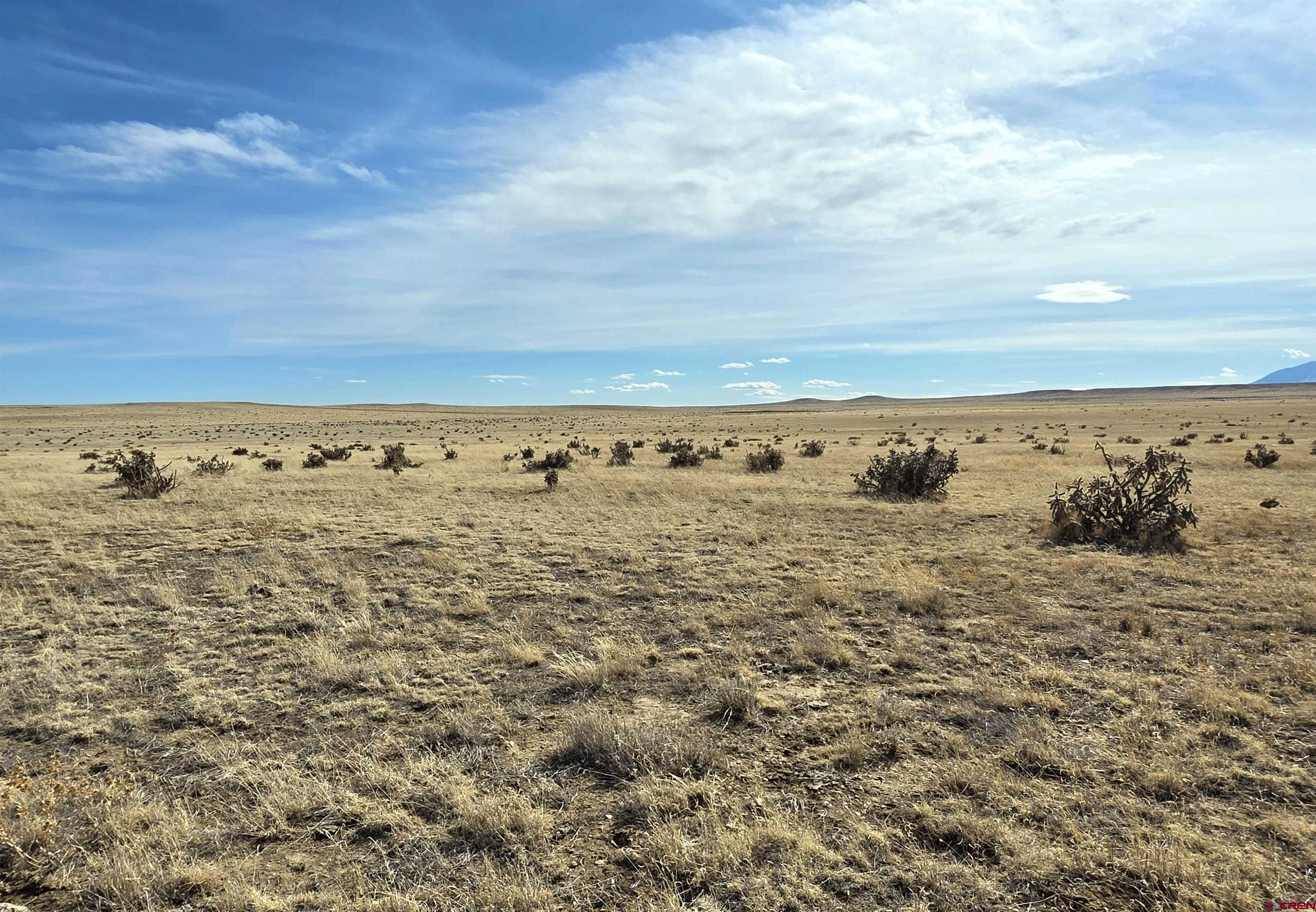 103 County Road 103 Rye, CO 81069 - Photo 4 of 9