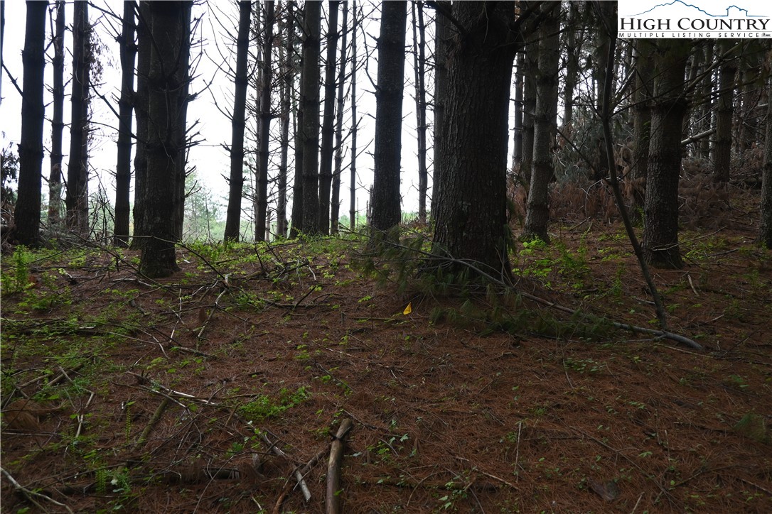 102 Tielcroft Road Crumpler, NC 28617 - Photo 12 of 19 a view of outdoor space and yard