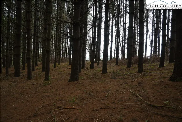 a view of outdoor space with lots of trees