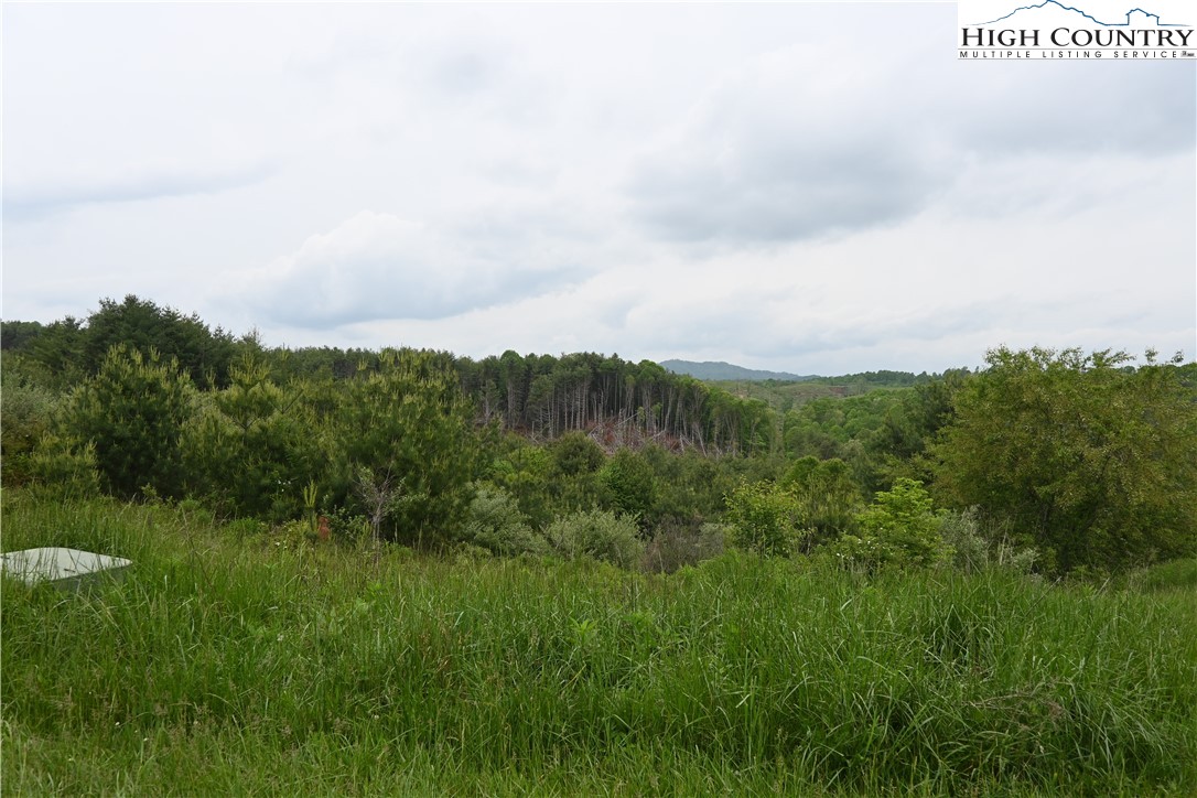 102 Tielcroft Road Crumpler, NC 28617 - Photo 19 of 19 a view of a bunch of trees in a field