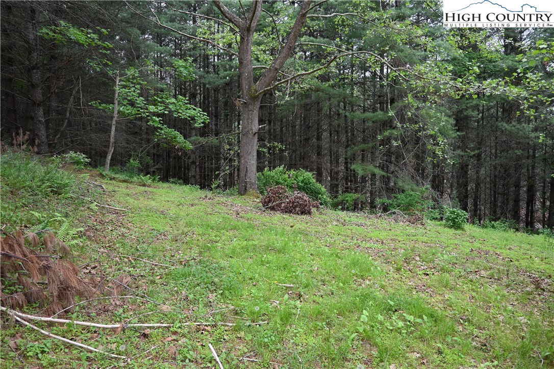 102 Tielcroft Road Crumpler, NC 28617 - Photo 2 of 19 a green field with lots of trees in it