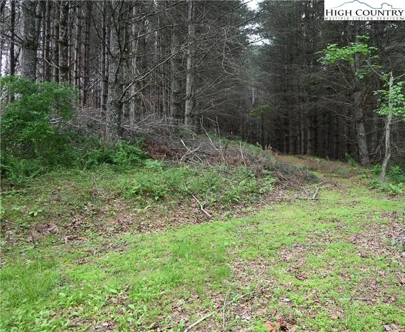 a fire hydrant in the middle of a field