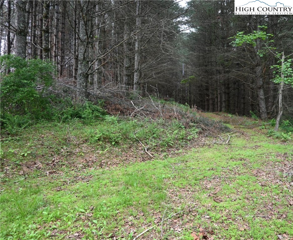 102 Tielcroft Road Crumpler, NC 28617 - Photo 3 of 19 a fire hydrant in the middle of a field