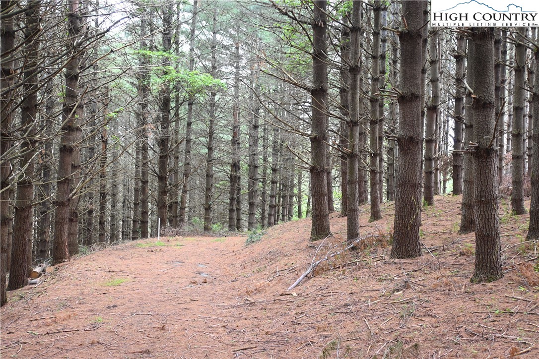 102 Tielcroft Road Crumpler, NC 28617 - Photo 4 of 19 a view of outdoor space and yard