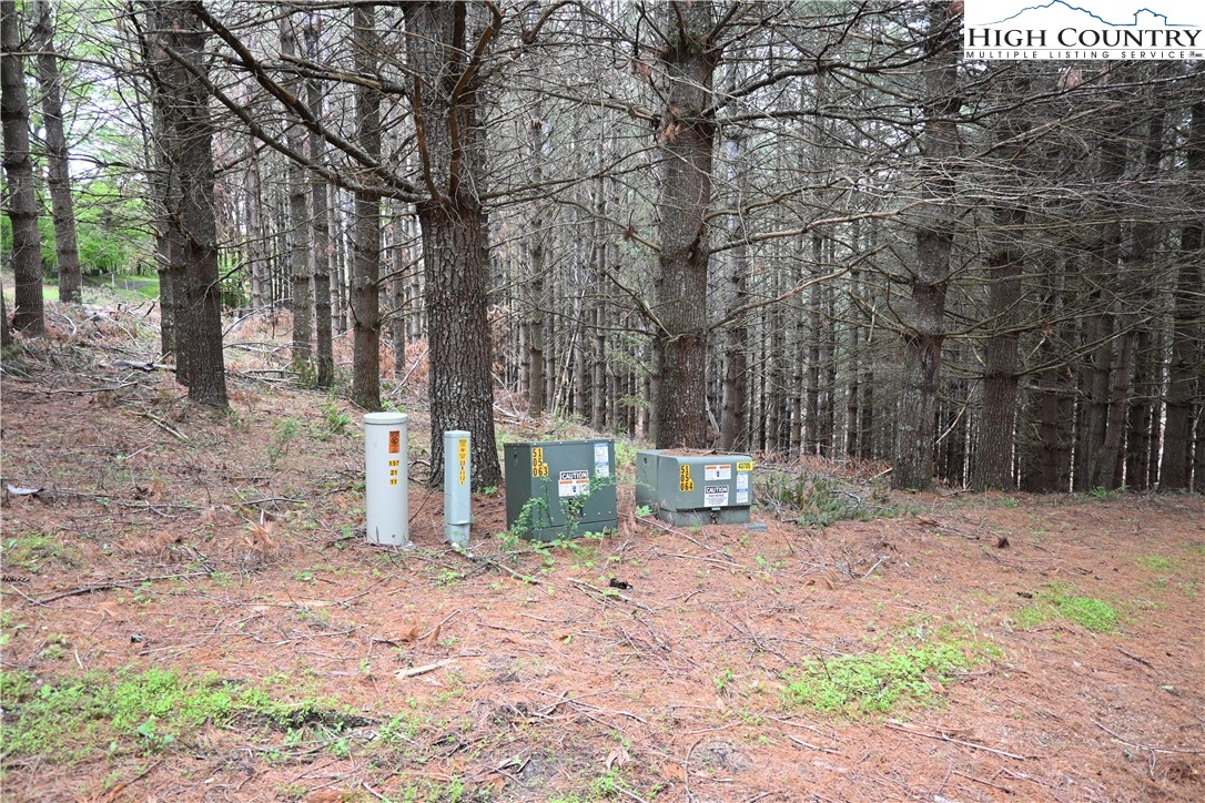 102 Tielcroft Road Crumpler, NC 28617 - Photo 7 of 19 a view of a yard with plants and trees