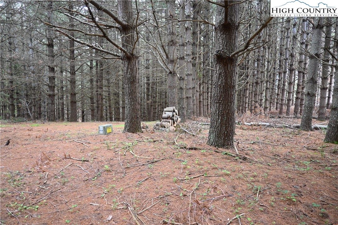 102 Tielcroft Road Crumpler, NC 28617 - Photo 8 of 19 a view of wooden fence