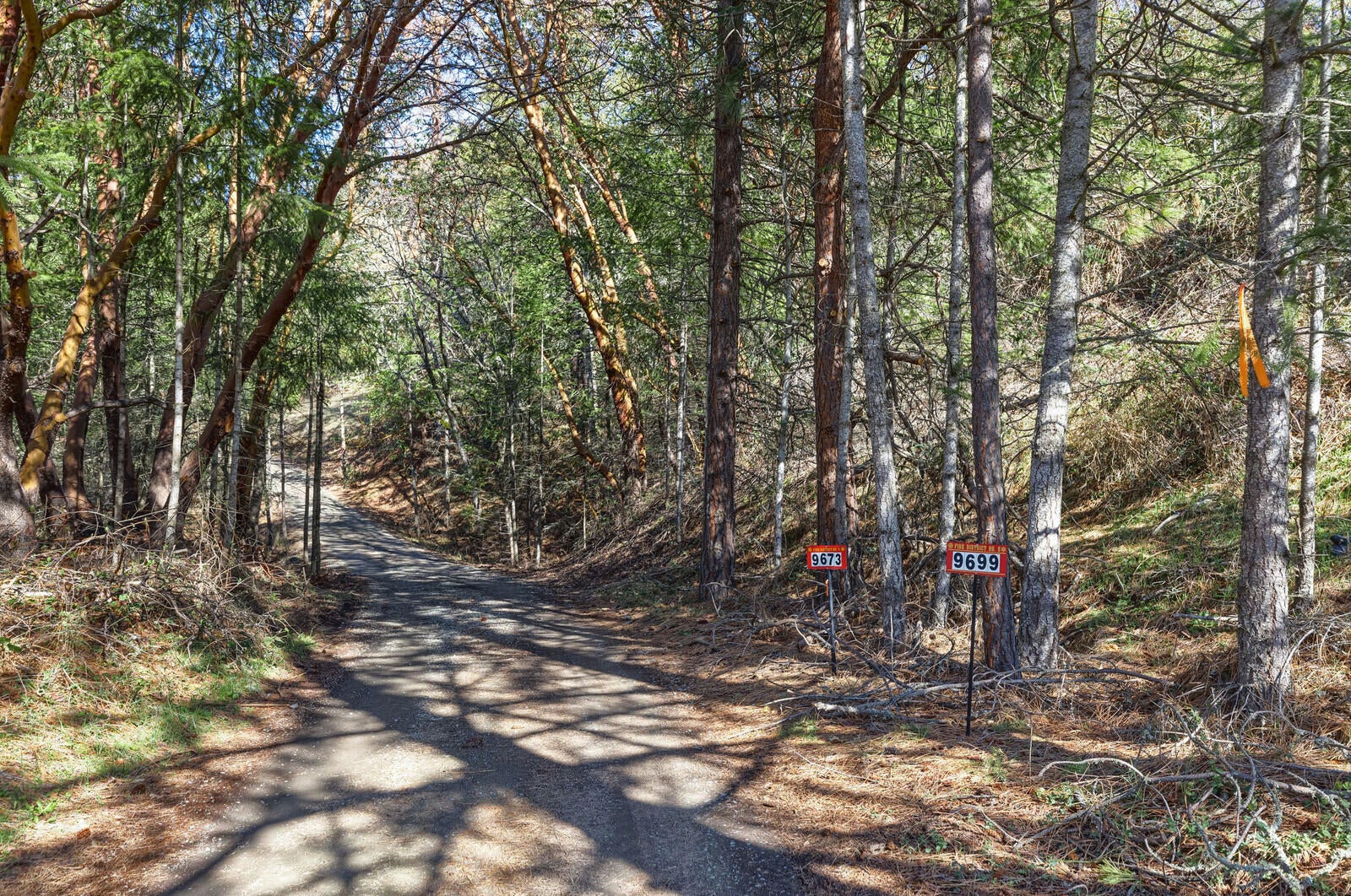 9699 Wagner Creek Road Talent, OR 97540 - Photo 28 of 52 Driveway
