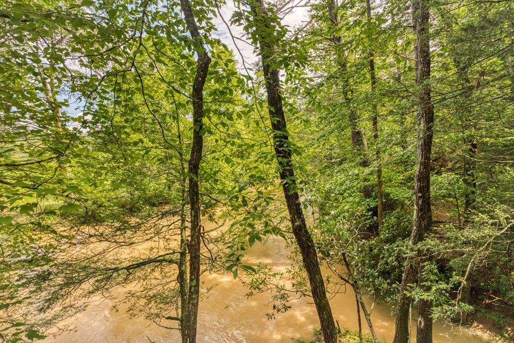 1143.5 Price Ridge Road, Unit 10 Bland, VA 24315 - Photo 50 of 69 Gallery Image 50
