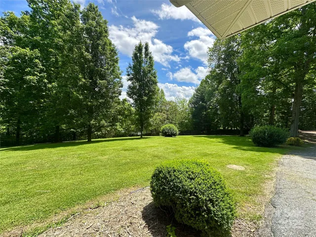 a view of a grassy field with trees