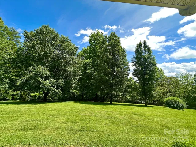 a view of a yard with a tree