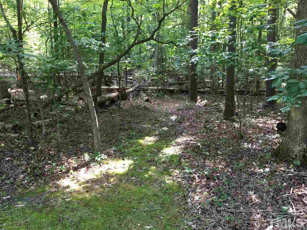 320 Mountain Brook Road Rougemont, NC 27572 - Photo 6 of 19