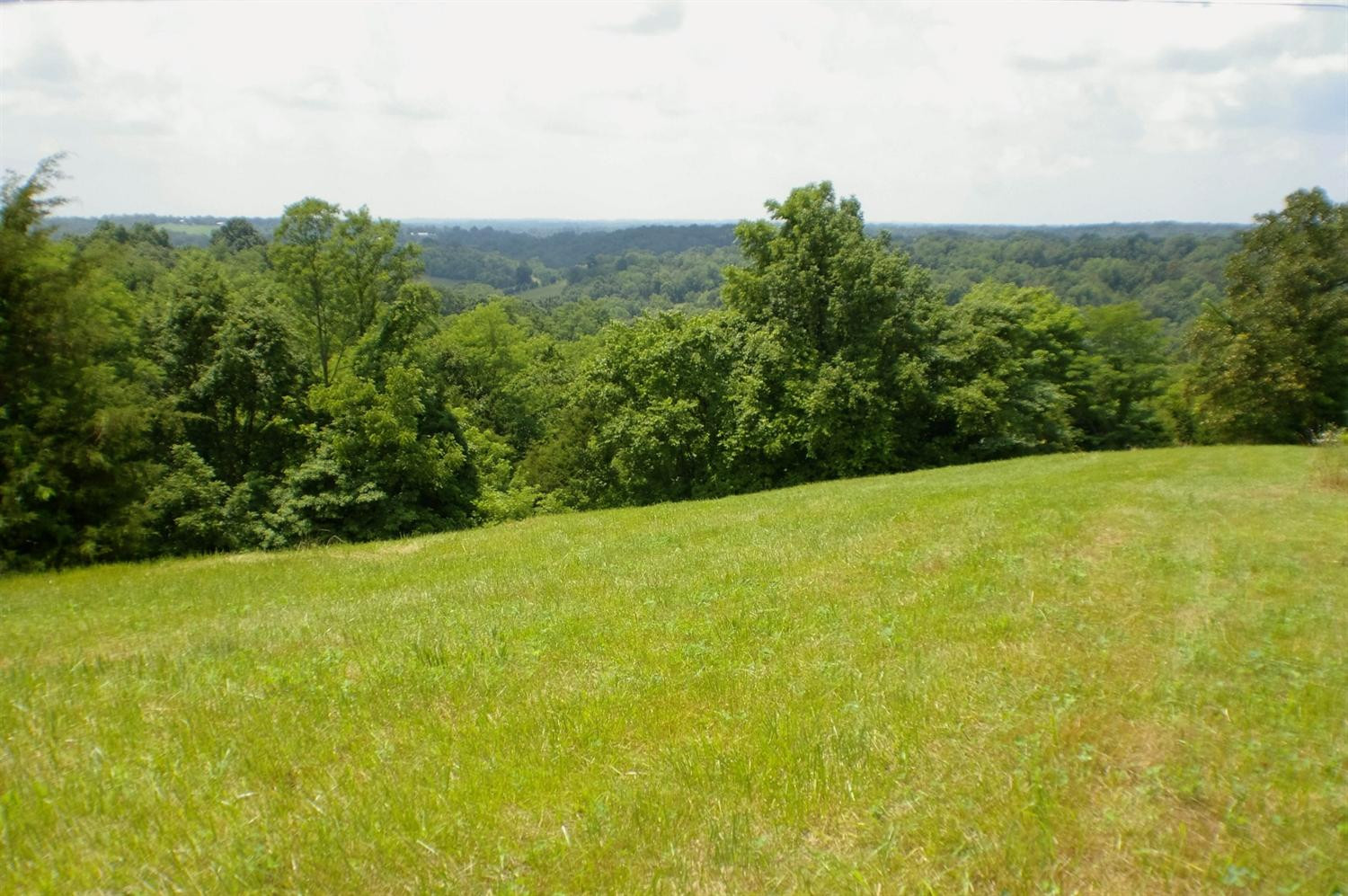 1 Alhambra Road, Unit 3 Mays Lick, KY 41055 - Photo 12 of 14 Photo 12