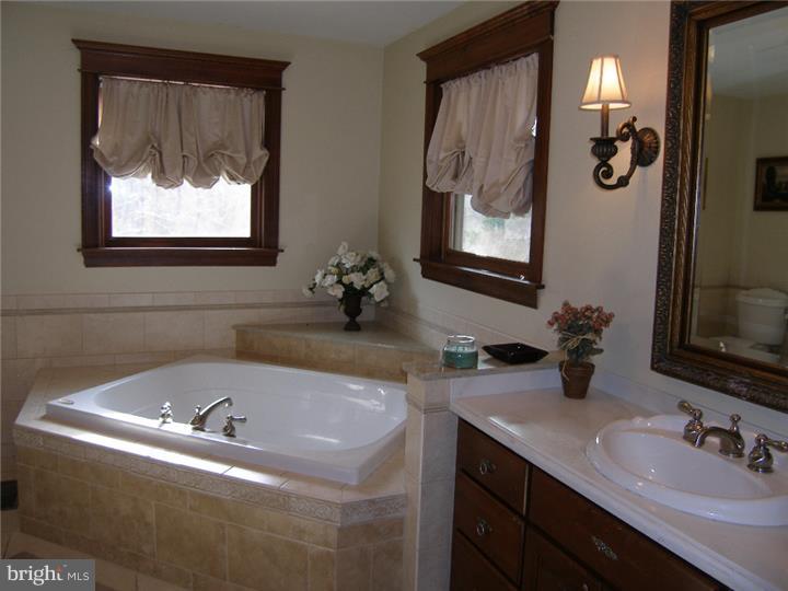 301 Fork Bridge Road Pittsgrove, NJ 08318 - Photo 14 of 25 Master Bathroom
