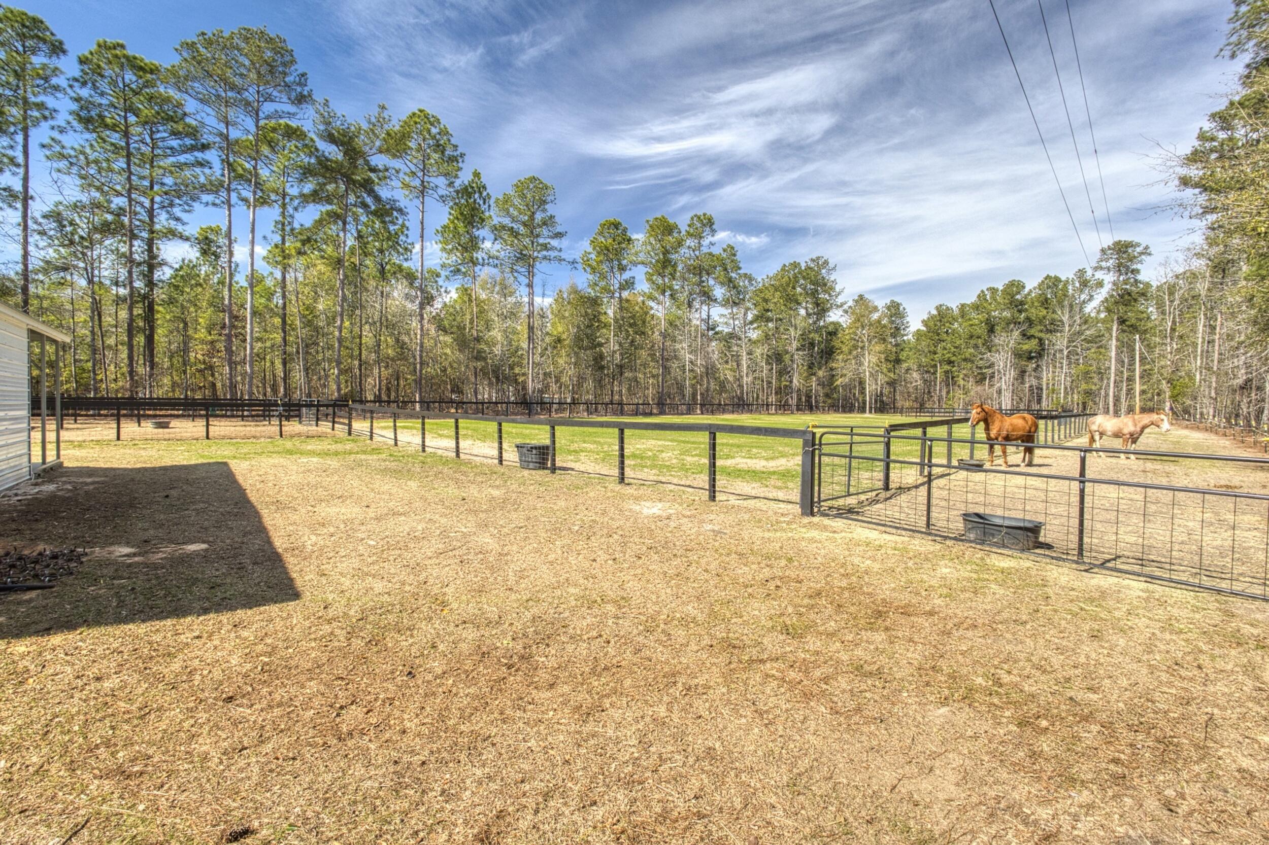 371 Nickletop Road Windsor, SC 29856 - Photo 51 of 62