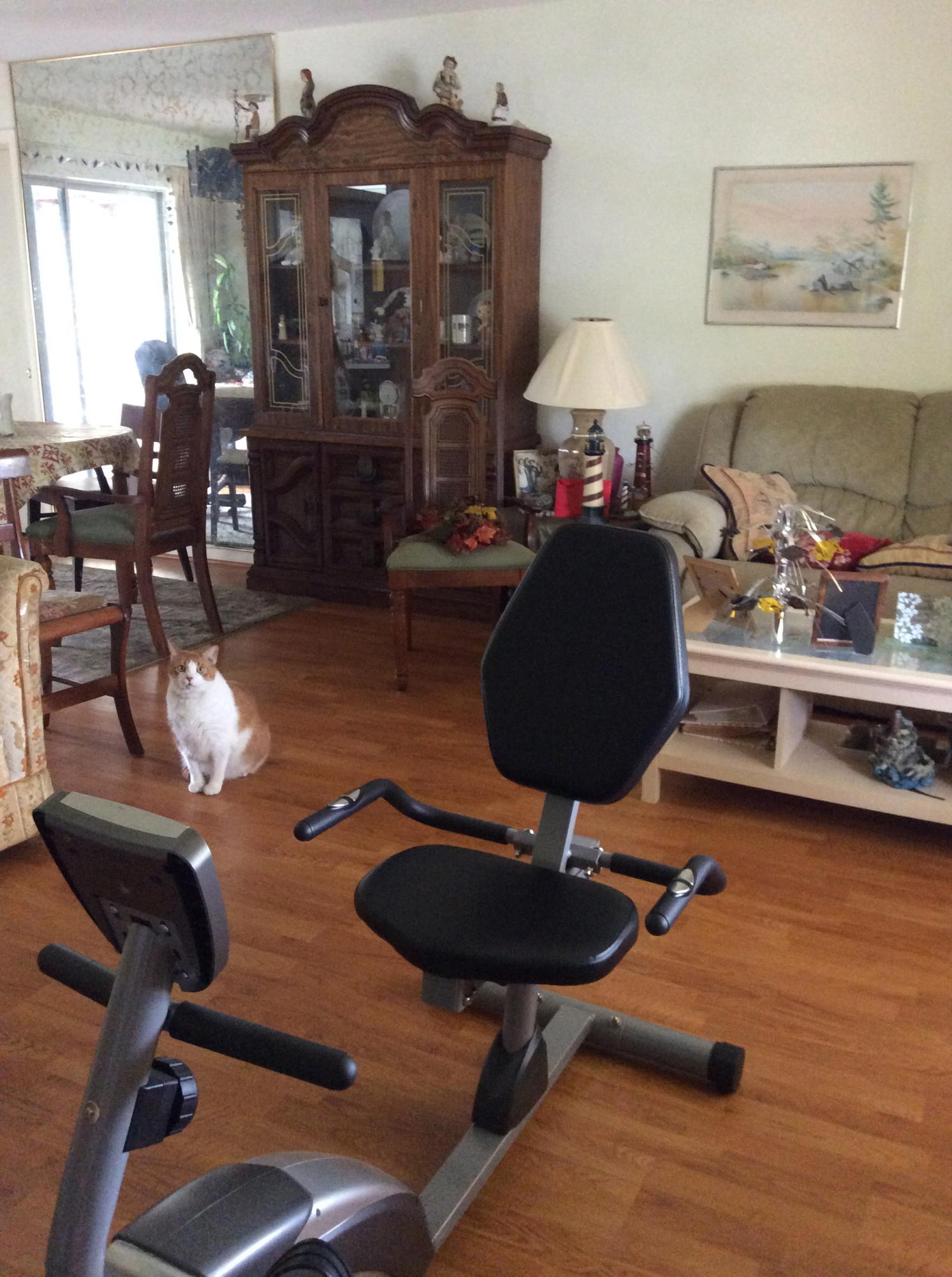 4890 Northwest 5th Terrace Boca Raton, FL 33431 - Photo 3 of 11 IMG_0428