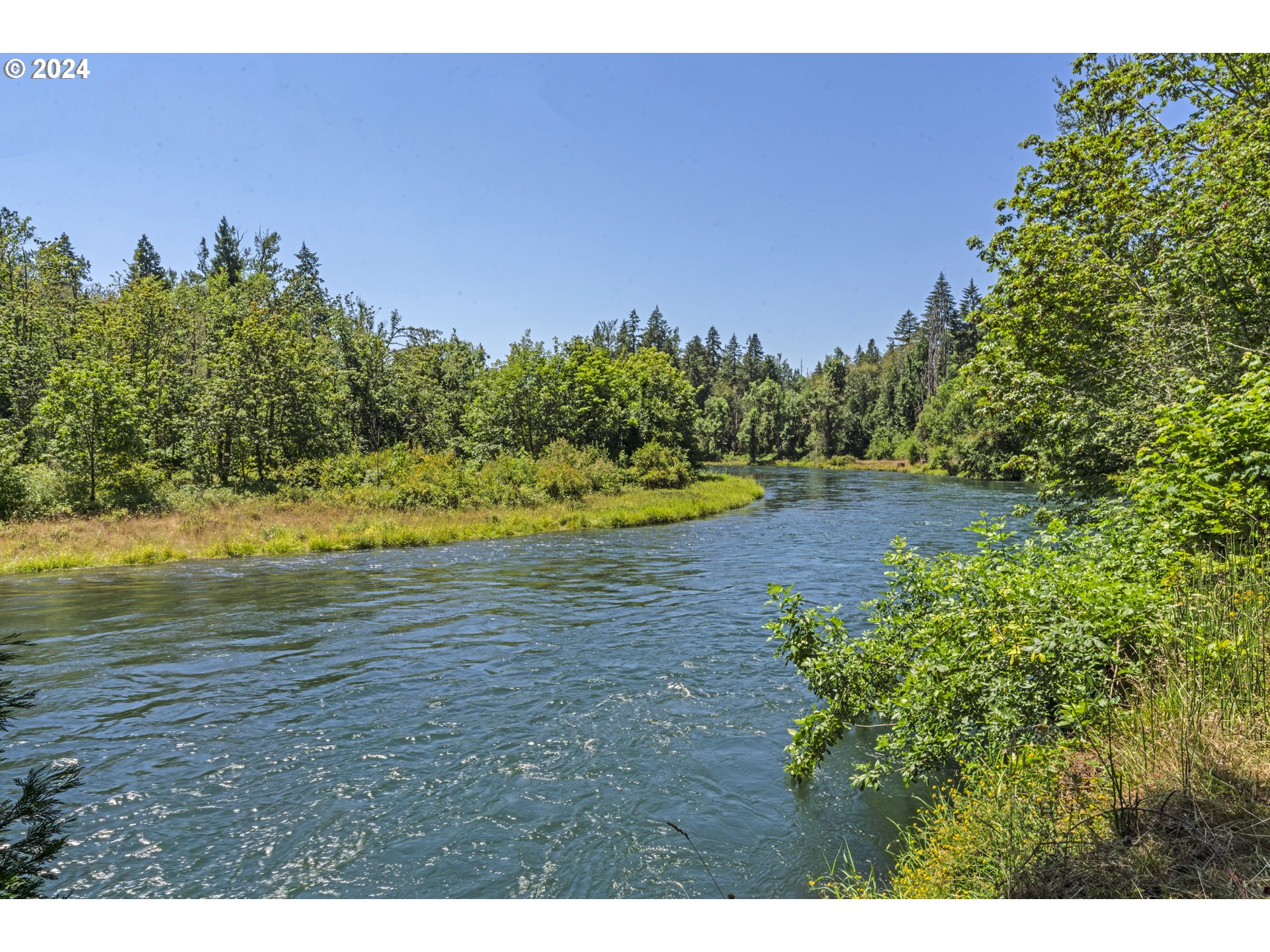 39002 Pengra Road Fall Creek, OR 97438 - Photo 35 of 48 Backyard