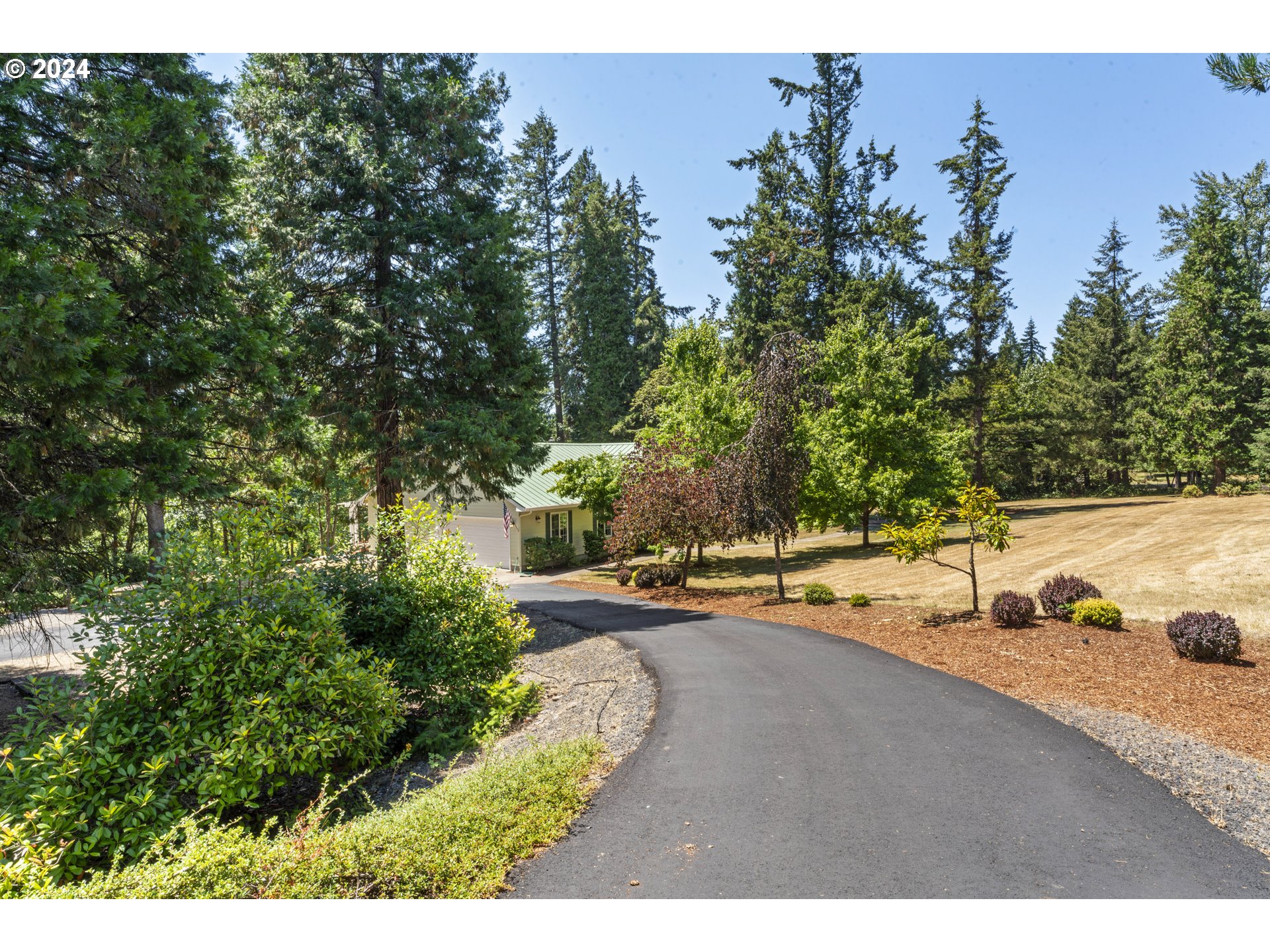 39002 Pengra Road Fall Creek, OR 97438 - Photo 41 of 48 Driveway