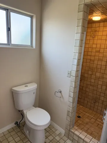 a white toilet sitting next to a shower curtain
