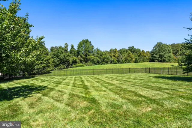 a view of a big yard with a small trees