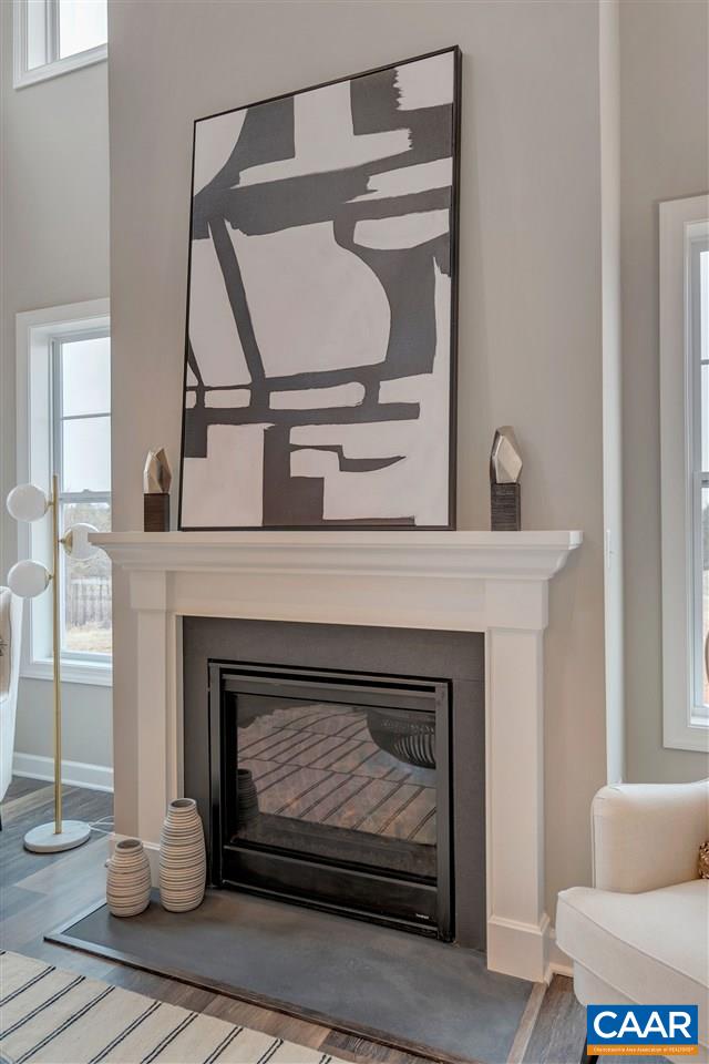 3490 Thicket Run Place Charlottesville, VA 22911 - Photo 6 of 36 a living room with furniture and a fireplace