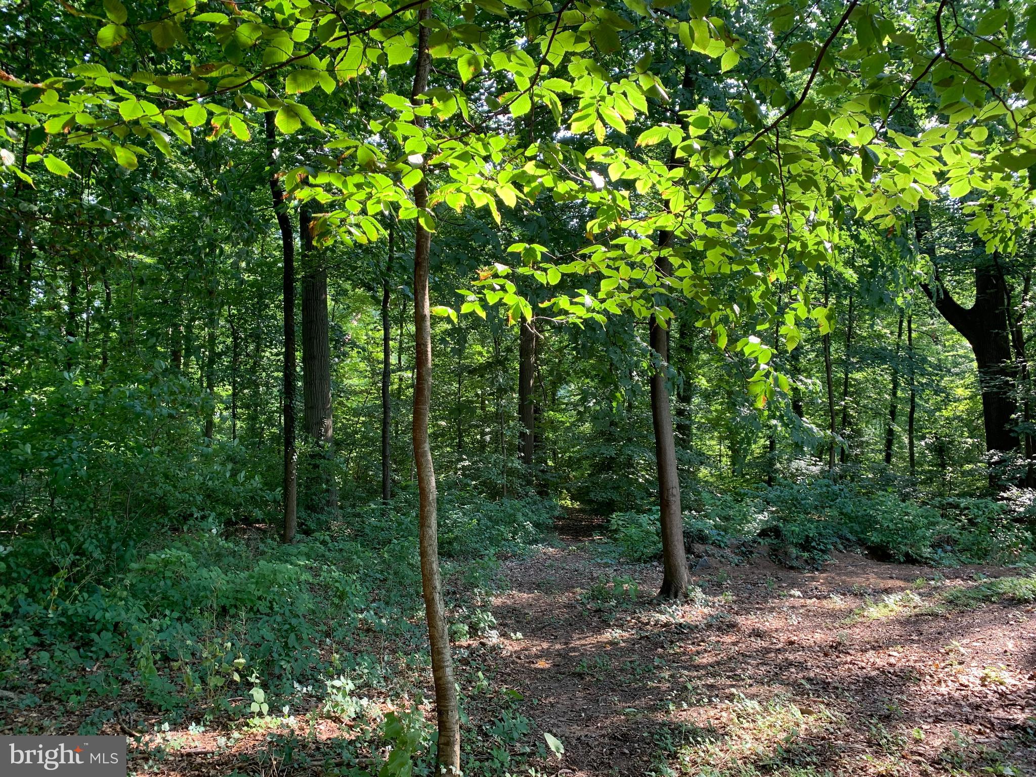 8 Somerset Road Baltimore, MD 21228 - Photo 43 of 56 Includes a second parcel of .067 acres