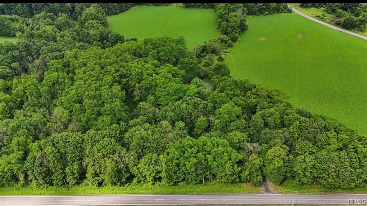 6128 Fearon Road Eaton, NY 13409 - Photo 37 of 46