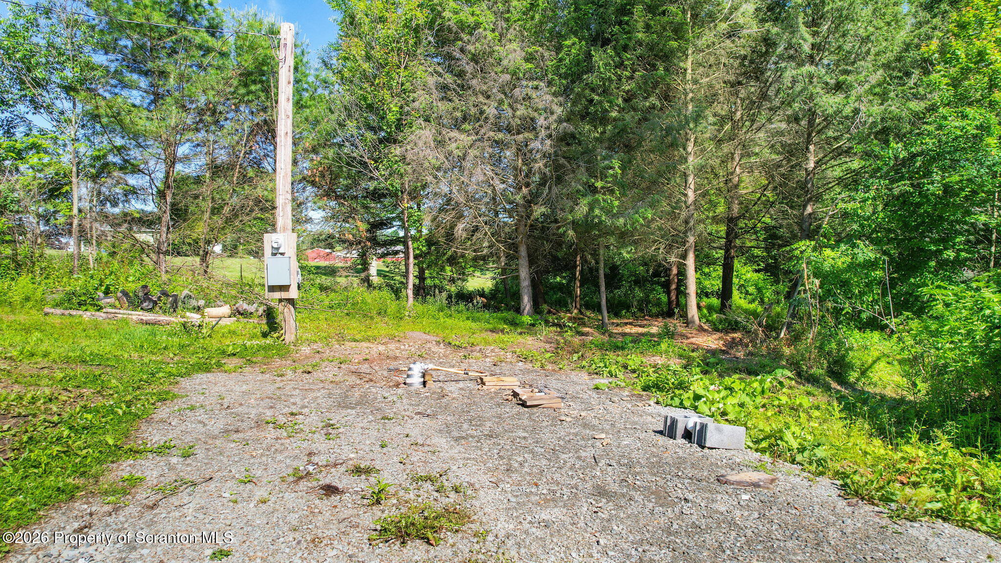 9015 Laurel Lake Road Montrose, PA 18801 - Photo 3 of 25 a view of a yard with plants and a trees