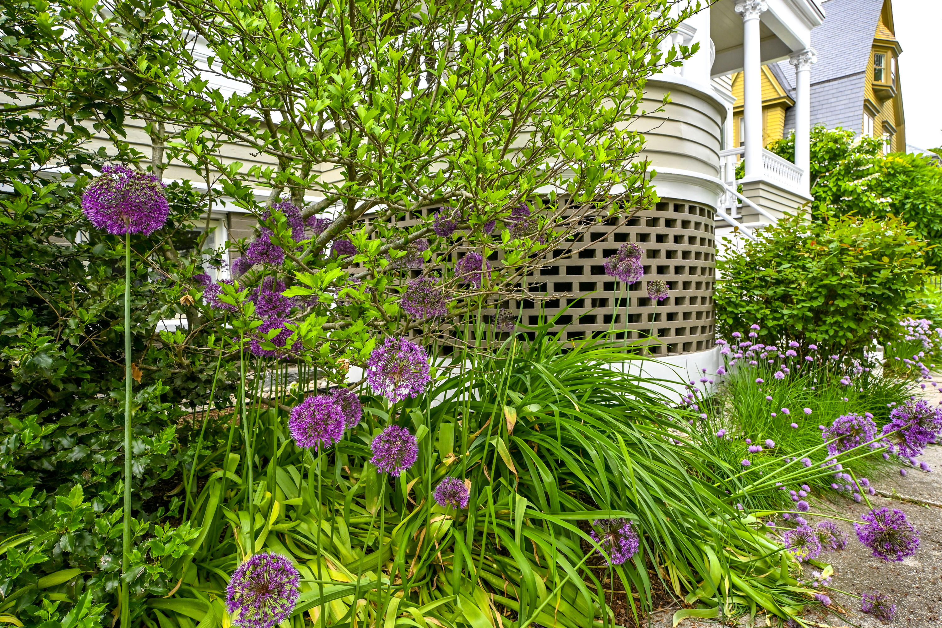 37 Carroll Street Portland, ME 04102 - Photo 68 of 74 37CarrollStPart2-32