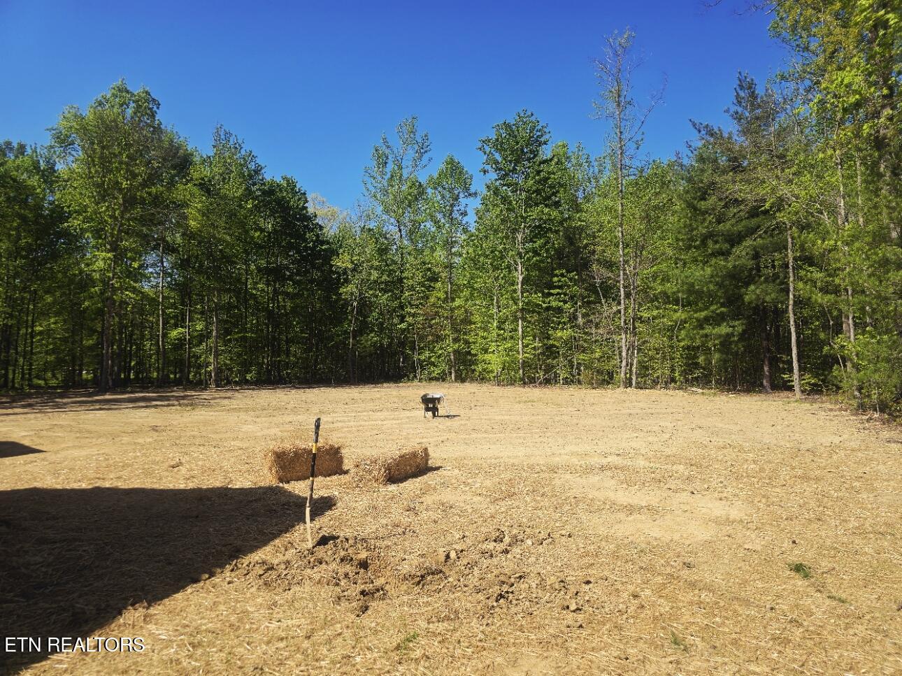 186 Short Leaf Lane Oneida, TN 37841 - Photo 41 of 41 20260423_111438