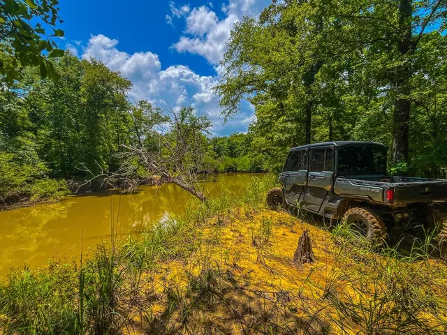 a view of a swimming pool with a yard