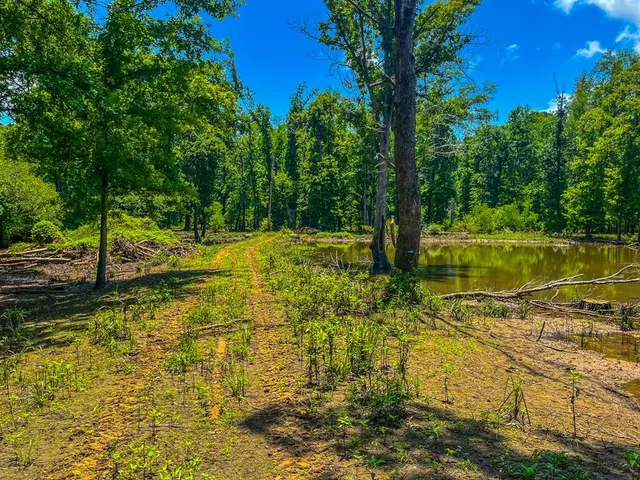 a view of a yard with an trees