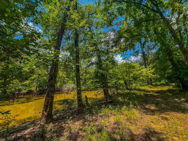 a view of a yard with a tree