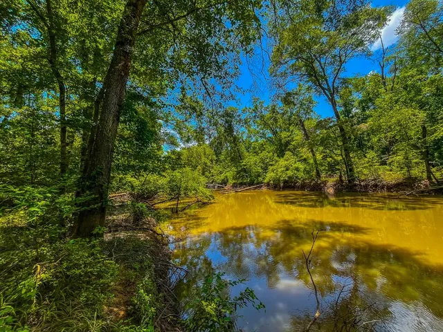 a view of an swimming pool with a yard