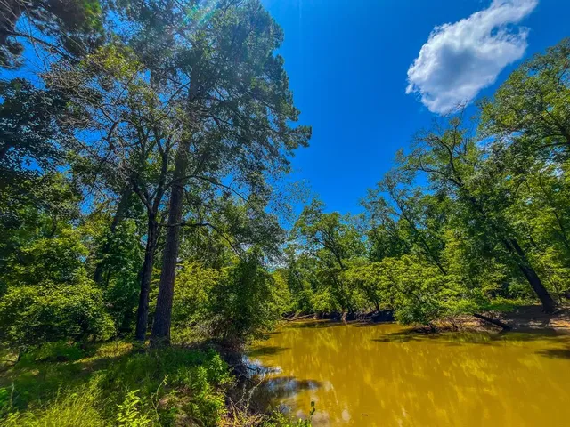 a view of a swimming pool from a lake view
