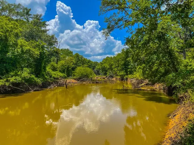 a view of a swimming pool with a lake view