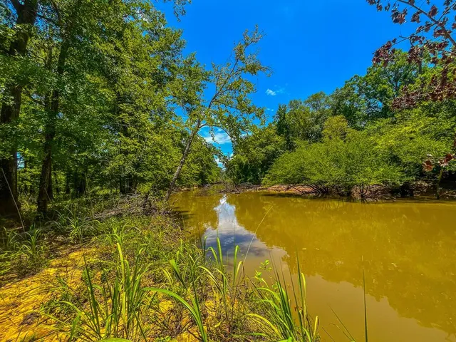 a view of a lake with a yard