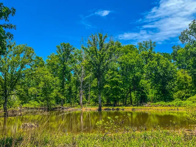 a view of a lake view