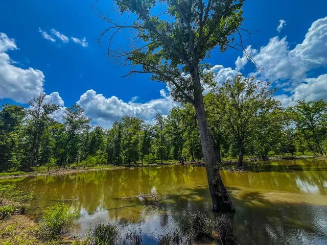 a view of outdoor space with garden