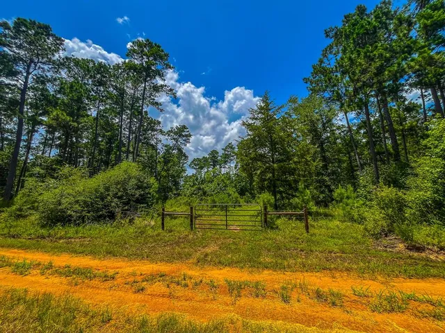 a view of a lake and swimming pool